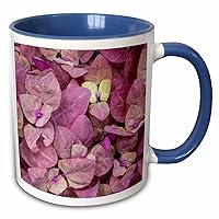 3dRose Washington State, Issaquah. Red Orach or Purple Mountain Spinach. - Mugs (mug-381310-6)