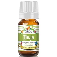 Thuja Essential Oil - 0.33 Fluid Ounces