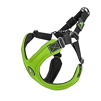 Gooby Escape Free Sport Harness - Lime, Small - No Choke Step-in Patented Neoprene Small Dog Harness with Four-Point Adjustment - Perfect on The Go Dog Harness for Medium Dogs No Pull and Small Dogs