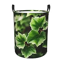 Ivy Blossoms Tree Round waterproof laundry basket,foldable storage basket,laundry Hampers with handle,suitable toy storage