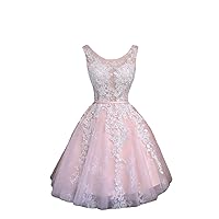 Women's Homecoming Dresses Tulle Homecoming Dresses for Teens Short Prom Dresses Lace Applique Homecoming Dress