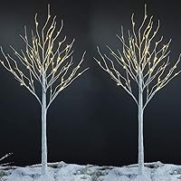 LIGHTSHARE 6 Feet Birch Tree, 72 LED Lights, Warm White, Set of 2, for Home, Festival, Party, and Christmas Decoration, Indoor and Outdoor Use