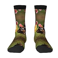 Rooster Funny Socks for Men, Women - Novelty Dress Mens Socks Funny Christmas Gift, Fun Socks