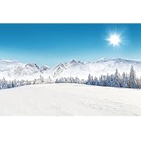 Winter Alpine Mountain Snowy Landscape Sunny Day Skiing Sports Nature Landscape Photo Cool Wall Decor Art Print Poster 12x18