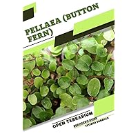 Pellaea (Button Fern): Open terrarium, Beginner's Guide