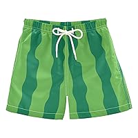 Watermelon Boys Swim Trunks Quick Dry Toddler Beach Swimsuit Board Shorts for Kids Adjustable Waist 4T