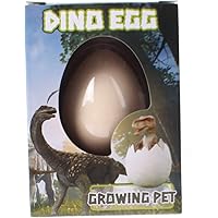 24287 Growing Dinosaur in Egg Small