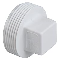 C4818 2 MIPT PLUG PVC