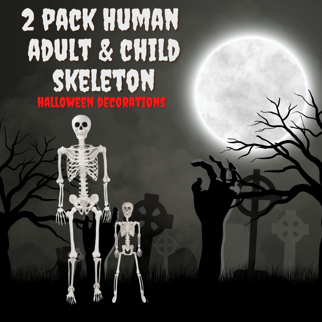 Posable Life Size Human Skeleton Family Set of 2 -Adult (5' 2