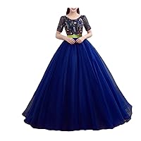 Women's Embroidery Quinceanera Dress Tulle Ball Gown Prom Dresses