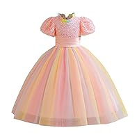 New Flower Girl Princess Dress Sequin Mesh Puffy Princess Dress Long Evening Dress Children's Dress Flag Dress