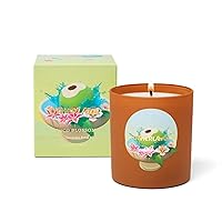 Coco Blossom Coconut Scented Candle | Fresh Scent | Boxed Jar Candle | Luxury Aromatherapy Candle | Single Wick Coconut & Soy Wax Candle | Vegan Candle | Long Lasting Candle | Brown (8 oz)