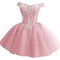 Homecoming Dress Off Shoulder Women's Short Party Ball Tulle Lace Dress