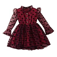 Kids Toddler Infant Baby Girls Long Sleeve Polka Dot Tulle Dress Princess Dress Outfits Clothes Roses and Dress