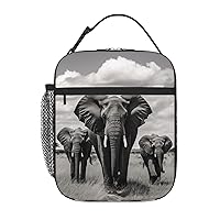 Lunch Box for Women Men Insulated Soft Bag Elephant Walking Lunch Bag With Side Pocket Reusable Portable Tote Meal Bags for Work Picnic