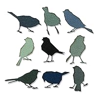 Sizzix Thinlits Die Set 9PK Silhouette Birds by Tim Holtz | 665861 |Chapter 2 2022, Multicolor