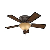 Hunter Fan Company, 51023, 42 inch Conroy Onyx Bengal Low Profile Ceiling Fan with LED Light Kit and Pull Chain