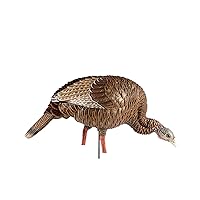 HDR Feeding Hen Turkey Decoy | Durable Realistic Lifelike Standing Hunting Decoy with Carry Bag & Integrated Stake, AVX8107