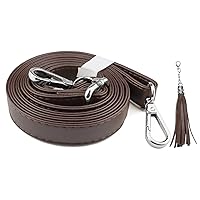 CRAFTMEMORE Bag Handle Replacement Genuine Leather Purse Strap for Handbag  Tote Briefcase GL018 (Brown Strap, Silver Clasp)