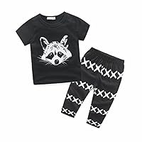 Raccoon Pattern Newborn Baby Set Boys Clothes Set Kids Baby Boys Outfits T-Shirt Tops+Pants Clothes Set