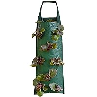 Hanging Strawberry Planter, Upside Down Patio Garden Tomato Planter Bags, Hanging Strawberry Plant Grow Bags, Sturdy Hanging Handle Thickened Aeration Fabric for Tomato Hot Peppers Vegetables