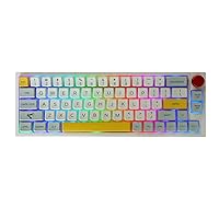 EPOMAKER TH66 Pro 65% Hot Swappable RGB 2.4Ghz/Bluetooth 5.0/Wired Mechanical Gaming Keyboard with MDA PBT Keycaps, Knob Control for Mac/Win (White Case, Gateron Pro Black)