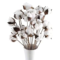 20 Pcs Cotton Stems,23 inches Natural Cotton Flowers Dried Cotton Picks,Dried Flower Branch Farmhouse Display Filler-Furniture Wedding Home DIY Decoration