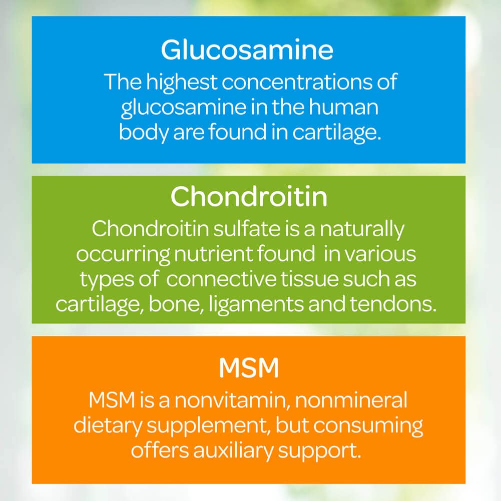 Puritan's Pride Glucosamine, Chondroitin & MSM -3 Per Day Formula