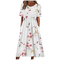 Linen Dress, Long Dresses for Women Formal Womens Formal Gowns and Evening Dresses Ladies Dress Pleated Basic Round Neck 2024 Short-Sleeve Midi Loose Daily Women's Dresses Classic
