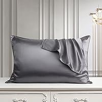 100% Pure Mulberry Silk Pillowcase for Hair Skin Health,Both Sides Premium Grade 6A Silk,600 Thread Count,with Hidden Zipper, (Gray,19X29 Inch)