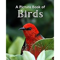 A Picture Book of Birds: A Beautiful Picture Book for Seniors With Alzheimer’s or Dementia. A Perfect Gift For Bird Lovers! (Picture Books For Seniors) A Picture Book of Birds: A Beautiful Picture Book for Seniors With Alzheimer’s or Dementia. A Perfect Gift For Bird Lovers! (Picture Books For Seniors) Paperback