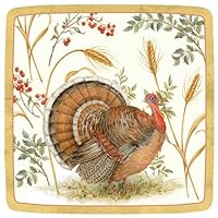 Thanksgiving Paper Plates Thanksgiving Dessert Plates Thanksgiving Table Decor Turkey Plates Pk 16