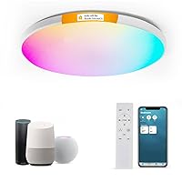 HomeKit Smart LED Ceiling Lights RGBCW 24W Ceiling Light Time Scheduler Work with Apple HomeKit, Alexa Google Home Flush Mount Ceiling Lamp for Living Room, Bedroom, Home Use