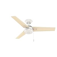 Hunter Cassius Indoor / Outdoor Ceiling Fan with Pull Chain, 44
