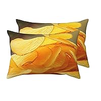 2 Pack Queen Size Pillow Cases with Envelope Closure Potato Chips Pillow Cover 20x30 Inches Soft Breathable Pillowcase for Hair and Skin, Sleeping Gift