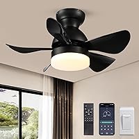 Ceiling Fans with Lights, 30 Inch Small Flush Mount Ceiling Fan with Remote APP Control Dimmable 6 Speeds Timing Modern Reversible Low Profile Ceiling Fan with DC Motor Black