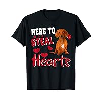 Dachshund Here To Steal Hearts Funny Dog Valentines Day T-Shirt