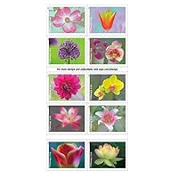 Garden Beauty First Class Forever Stamps: Self-Stick Book of 20 - Ideal for Weddings, Anniversaries, and Floral-Themed Parties (20 Stamps Each) (1 Sheet (20 Stamps))