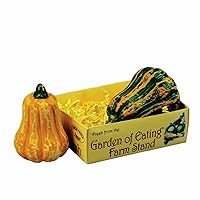 The Queen's Treasures 18 inch Doll Kitchen Food Accessory, Farm Fresh Set of 2 Gourds Packed in a Paper Veggie Crate, Compatible with American Girl Dolls Kitchens & Furniture