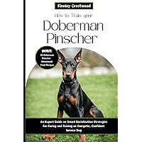 How to Train Your Doberman Pinscher: An Expert Guide on Smart Socialization Strategies for Caring and Raising an Energetic, Confident Service Dog How to Train Your Doberman Pinscher: An Expert Guide on Smart Socialization Strategies for Caring and Raising an Energetic, Confident Service Dog Paperback Kindle