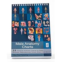 Male Anatomy and Reproductive Anatomy Flip Chart