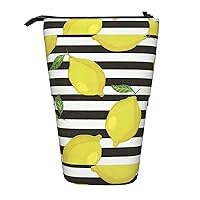 BREAUX Blue Stripe And Lemon Print Vertical Organizer, Portable Storage Bag, Zippered Cosmetic Bag, Holiday Gift