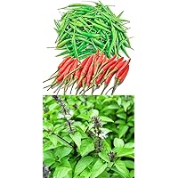 Bundle: Thai Bird Hot Pepper Seeds for Planting + Thai Sweet Large Leaf Basil Seeds