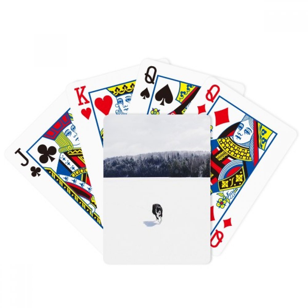 DIYthinker Dog Pet Animal Snow Photo Poker Playing Magic Card Fun Board Game