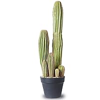 Artificial Cactus Fake Big Cactus 24 Inch Faux Cacti Plants for Home Garden Office Store Decoration