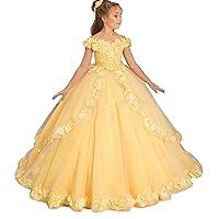 Flower Girls Tulle Princess Pageant Dress for Wedding Off Shoulder Applique Floor Length Prom Ball Gowns