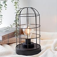 NEWIMAGE Battery Operated Lamp 10''H Decorative Table Lamp Metal Cage Cordless Lamps with LED Bulb for Home Decor Living Room Bedroom Kitchen Wedding Patio