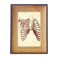 Rib Human Pleural Sketching Skeleton Photo Frame Exhibition Display Art Desktop Painting
