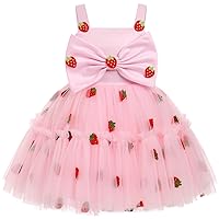 Toddler Baby Girl Birthday Party Dress Butterfly Strawberry Sleeveless Tulle Princess Wedding Dance Ball Gown