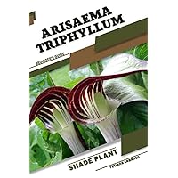 Arisaema triphyllum: Shade plant Beginner's Guide